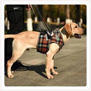A a Pets' Multi Function Everyday Vest Harness with Front Leg Lift Support