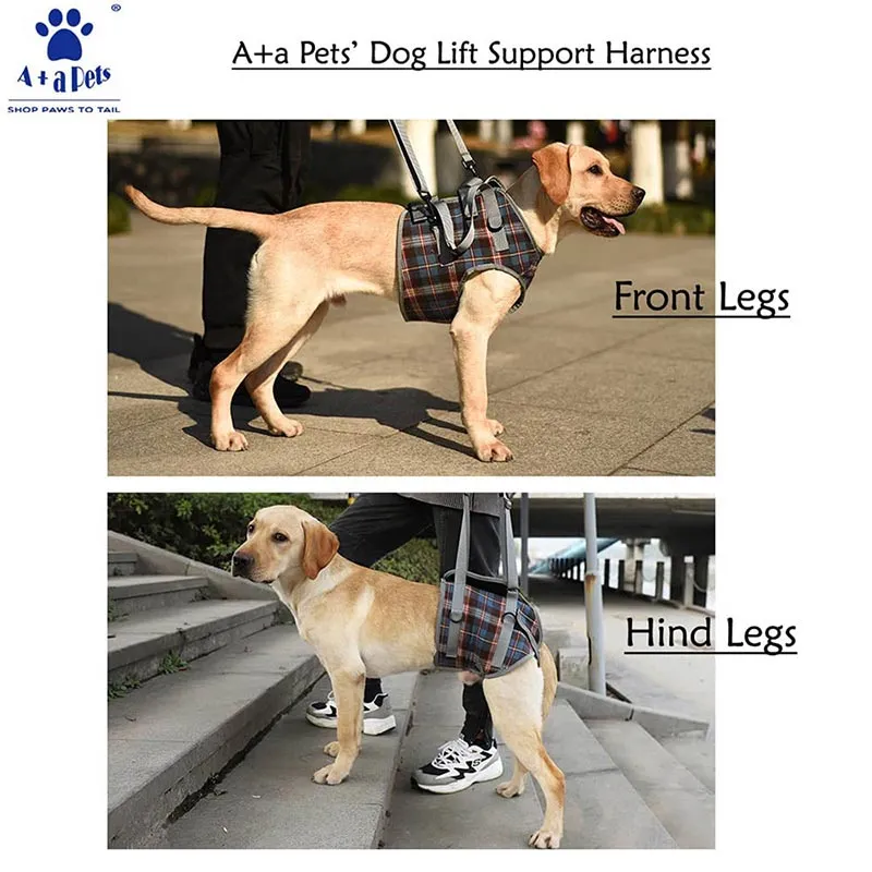 A a Pets' Multi Function Everyday Vest Harness with Front Leg Lift Support