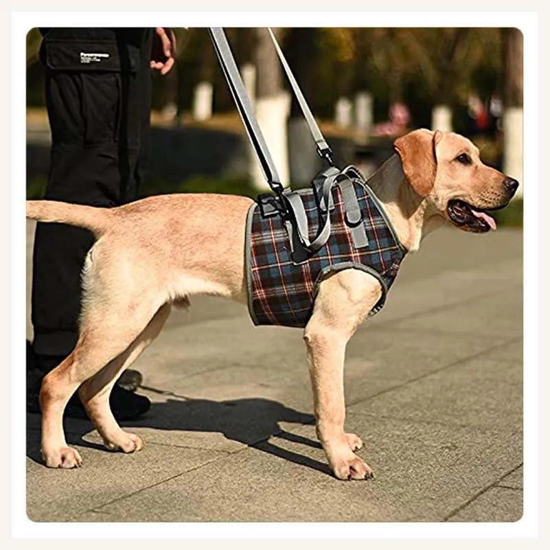 A a Pets' Multi Function Everyday Vest Harness with Front Leg Lift Support