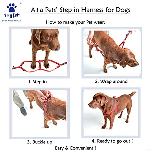 A a Pets' Step-in Harness for Dogs & Cats Pirate Design