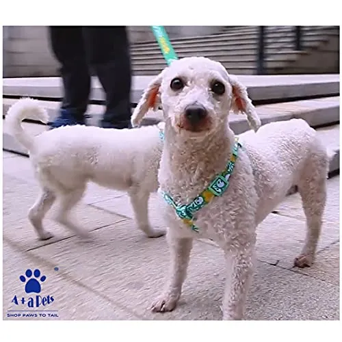A a Pets' Step-in Harness for Dogs & Cats Pirate Design