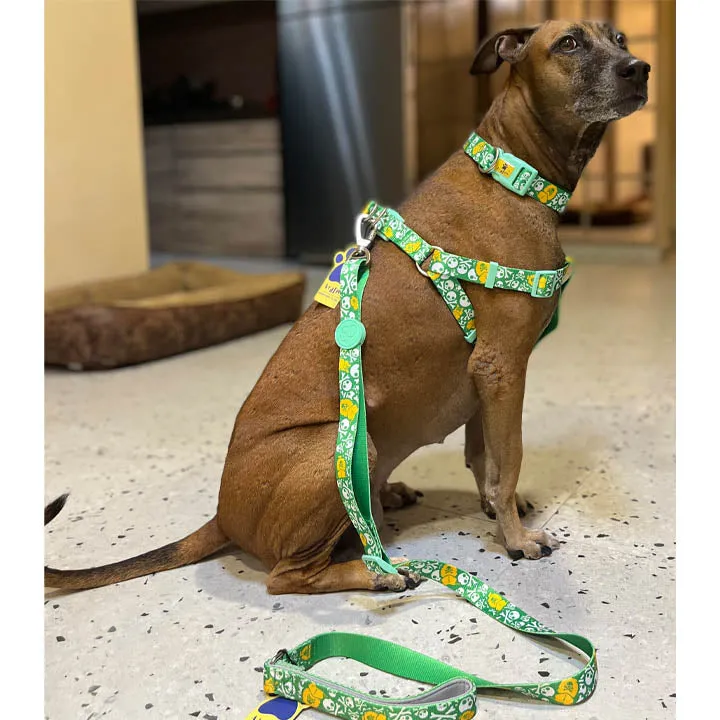 A a Pets' Step-in Harness for Dogs & Cats Pirate Design