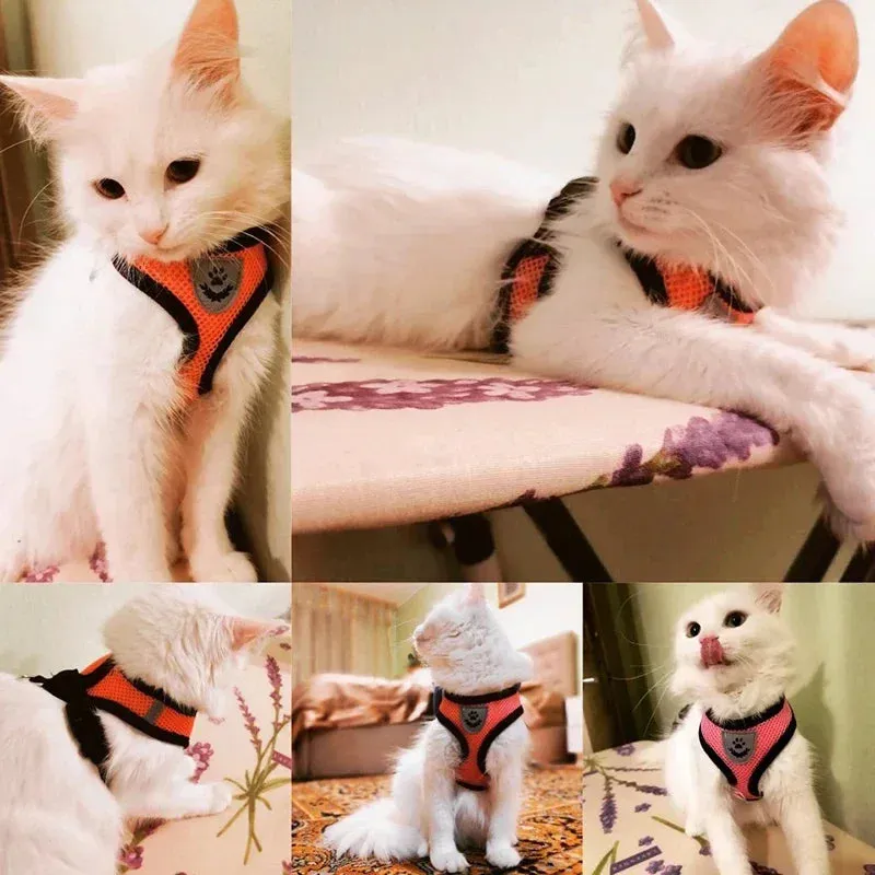 Adjustable Cat & Dog Harness Vest