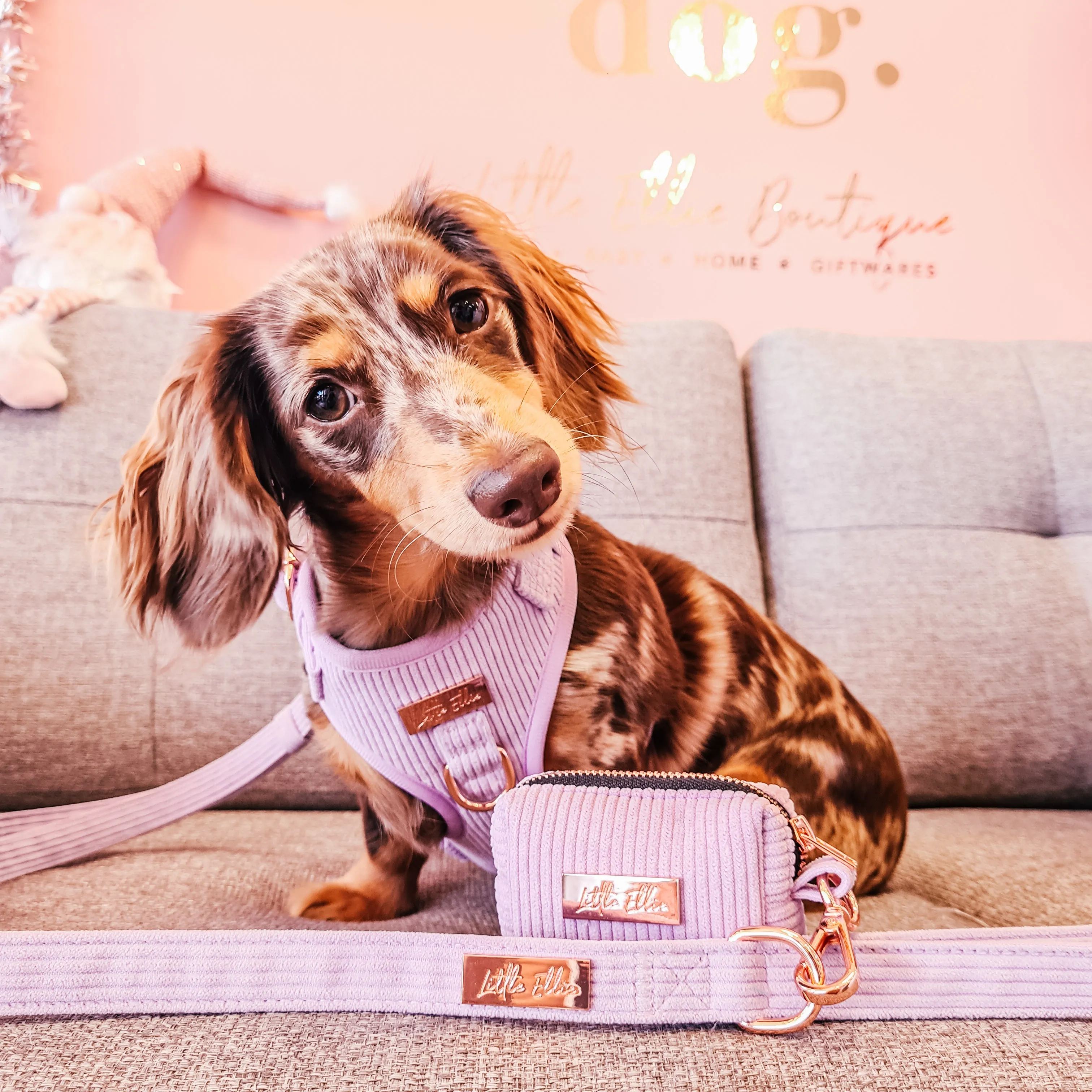 Adjustable Dog Harness LUXE| Lilac Corduroy