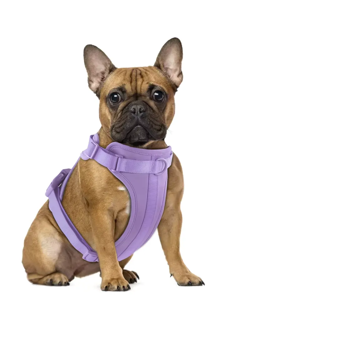 Adjustable Dog Harness