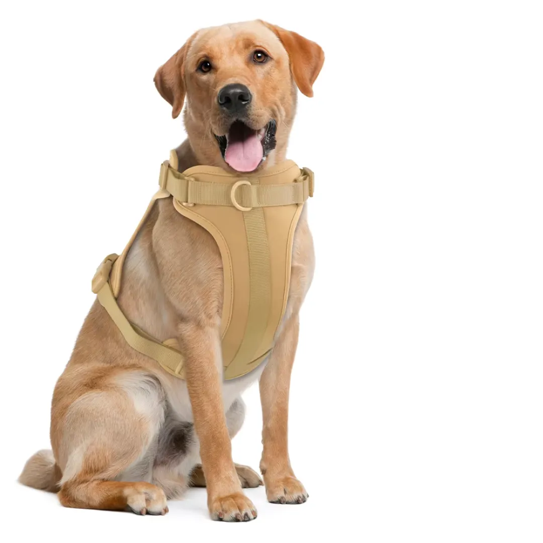 Adjustable Dog Harness