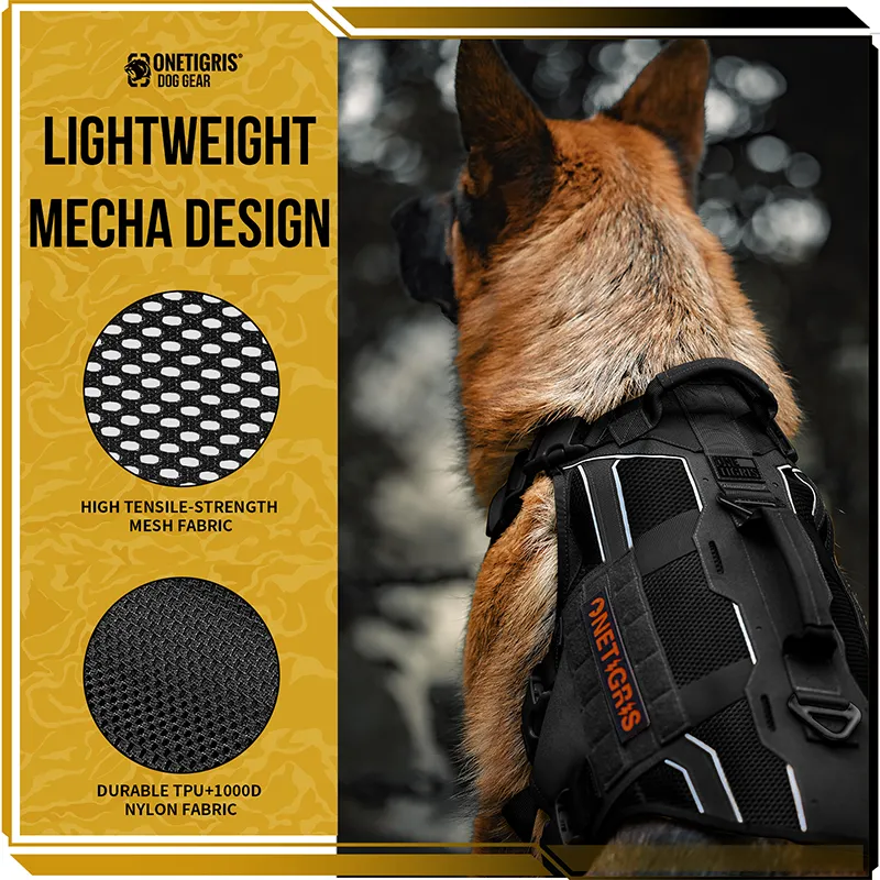 AIRE ARMOR Mesh Harness