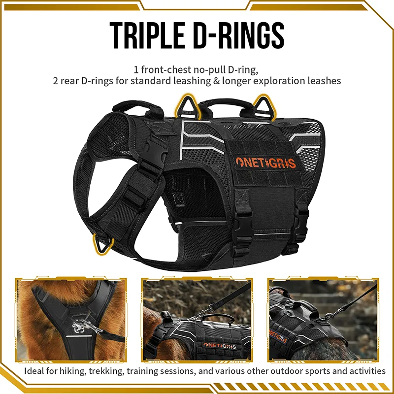 AIRE ARMOR Mesh Harness
