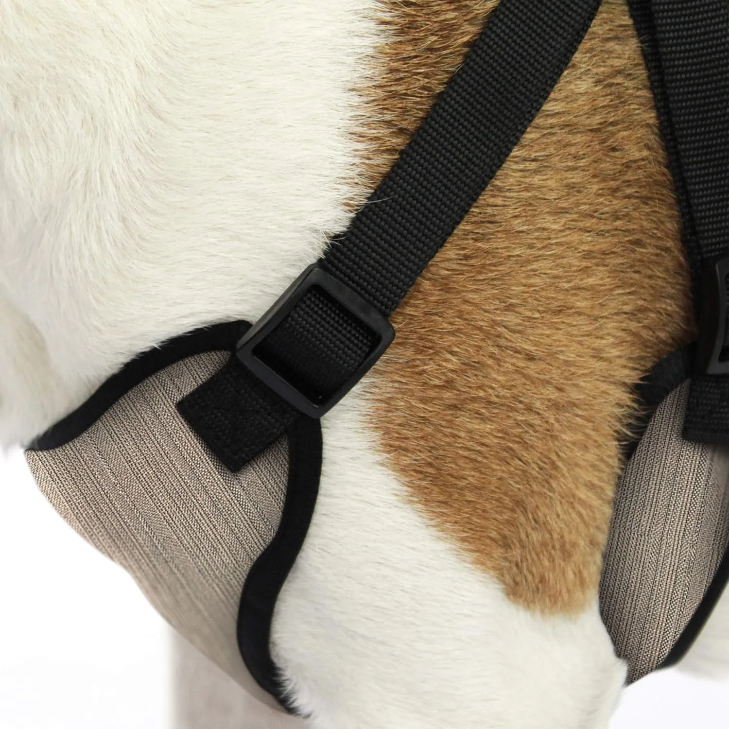 AKC Premium Padded Step-in Dog Harness – Soft Comfort Fit with Dual D-Ring No Pull Control – Small, Medium, Large – Blue, Gray, Green, Tan