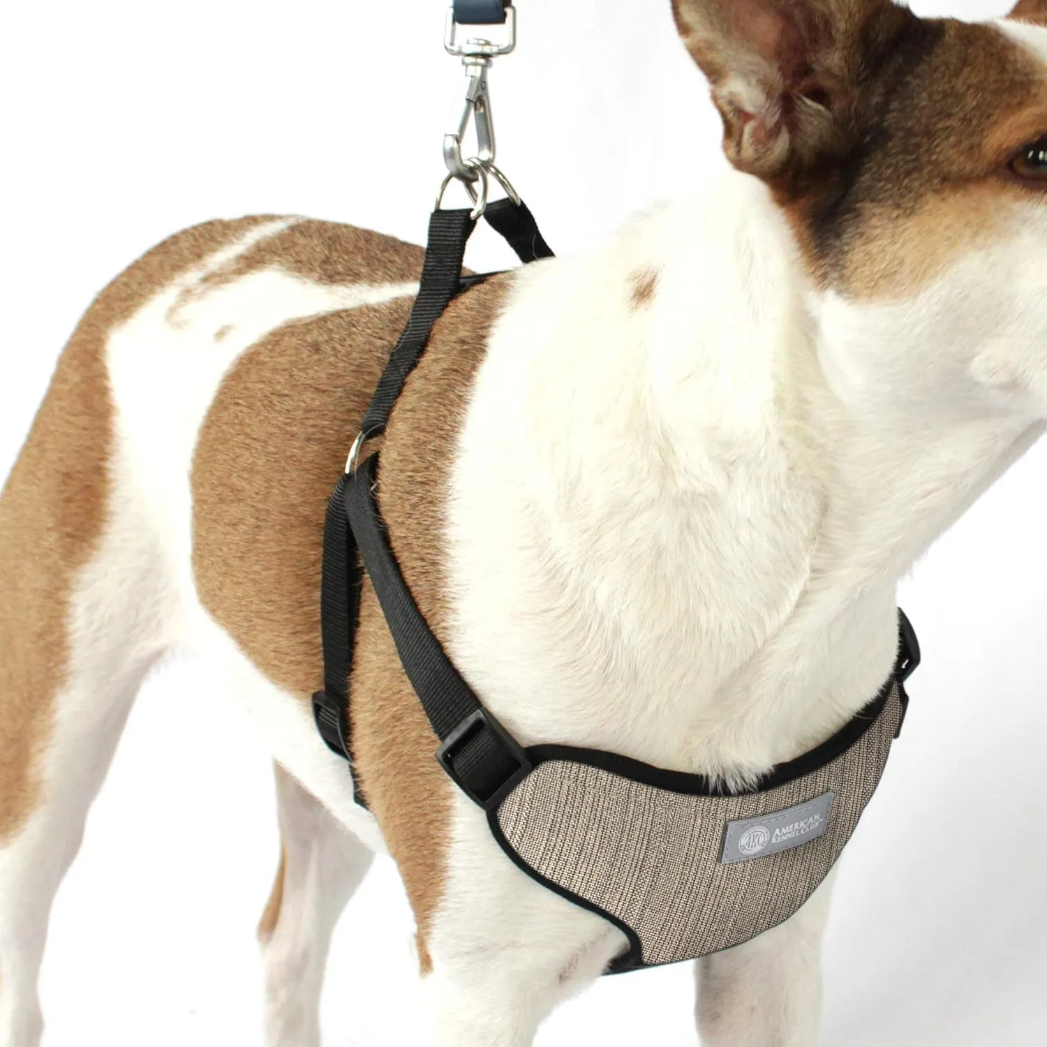 AKC Premium Padded Step-in Dog Harness – Soft Comfort Fit with Dual D-Ring No Pull Control – Small, Medium, Large – Blue, Gray, Green, Tan