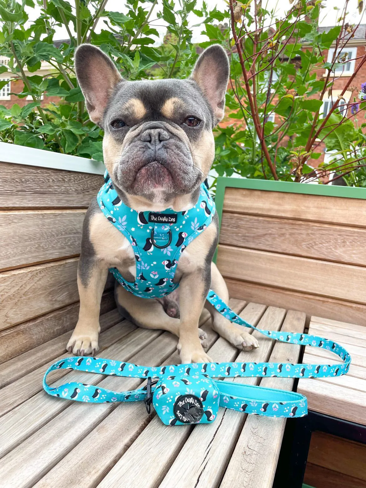All Or Puffin Harness