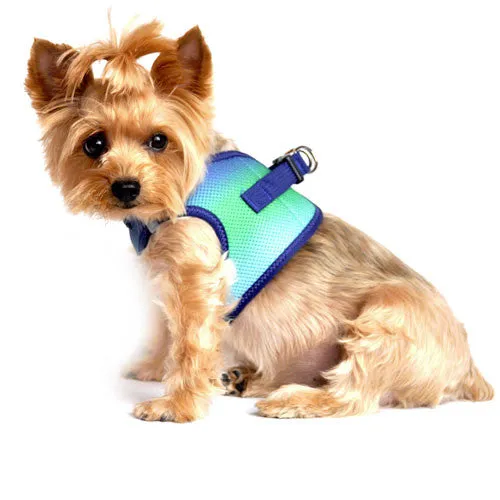 American River Ombre Harness — Northern Lights