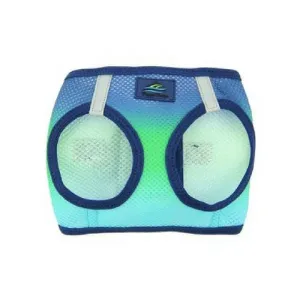 American River Ombre Harness — Northern Lights