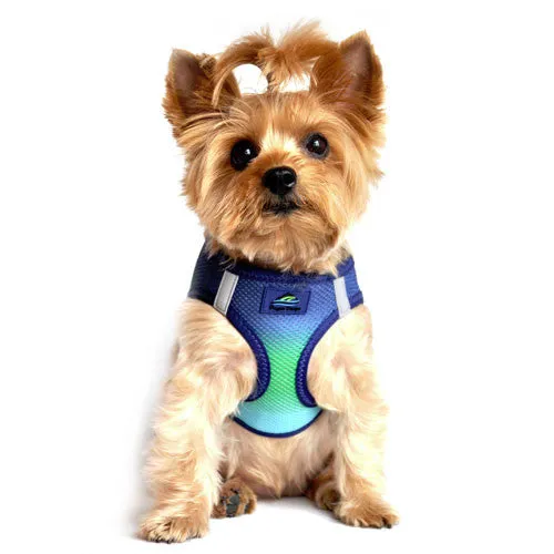 American River Ombre Harness — Northern Lights
