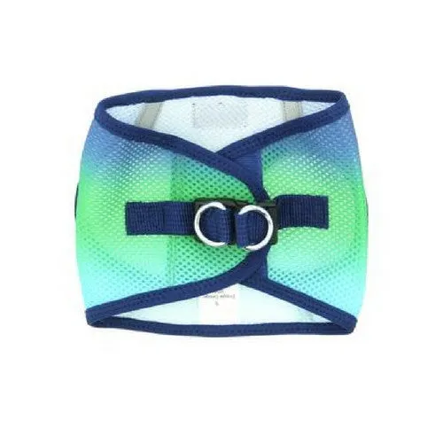 American River Ombre Harness — Northern Lights