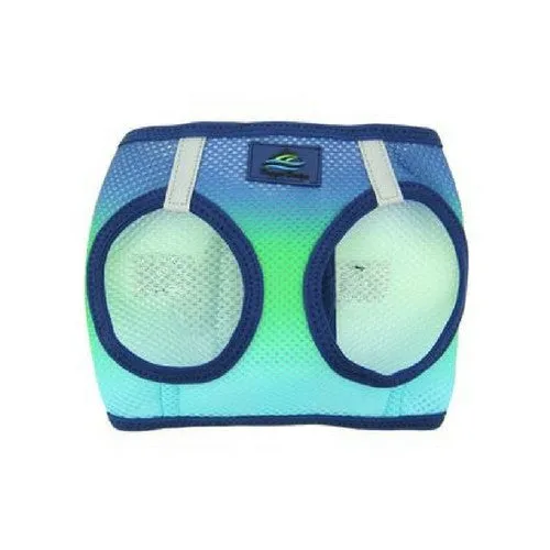 American River Ombre Harness — Northern Lights