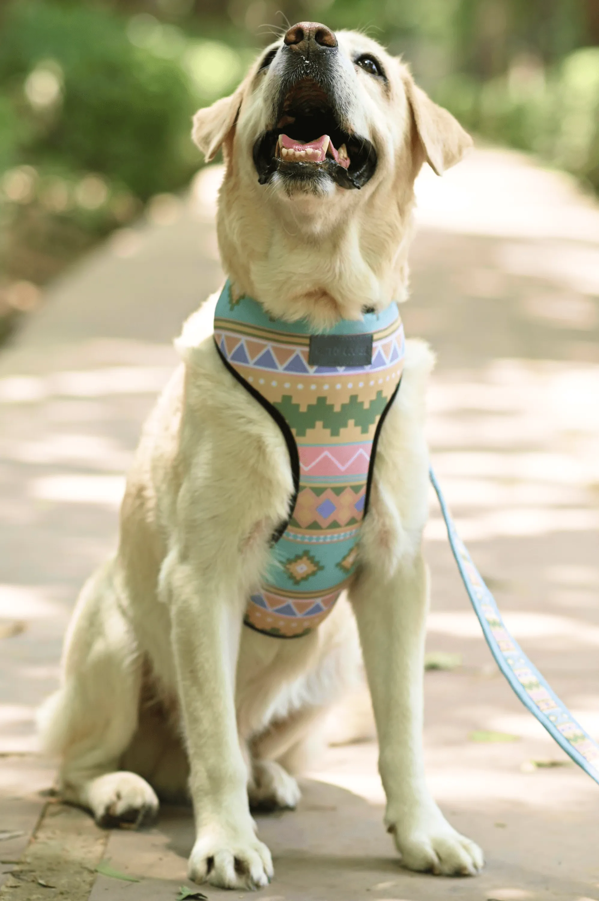 Aztec Vest Harness