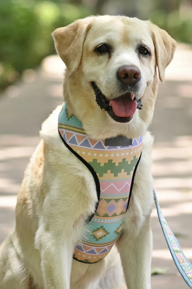 Aztec Vest Harness