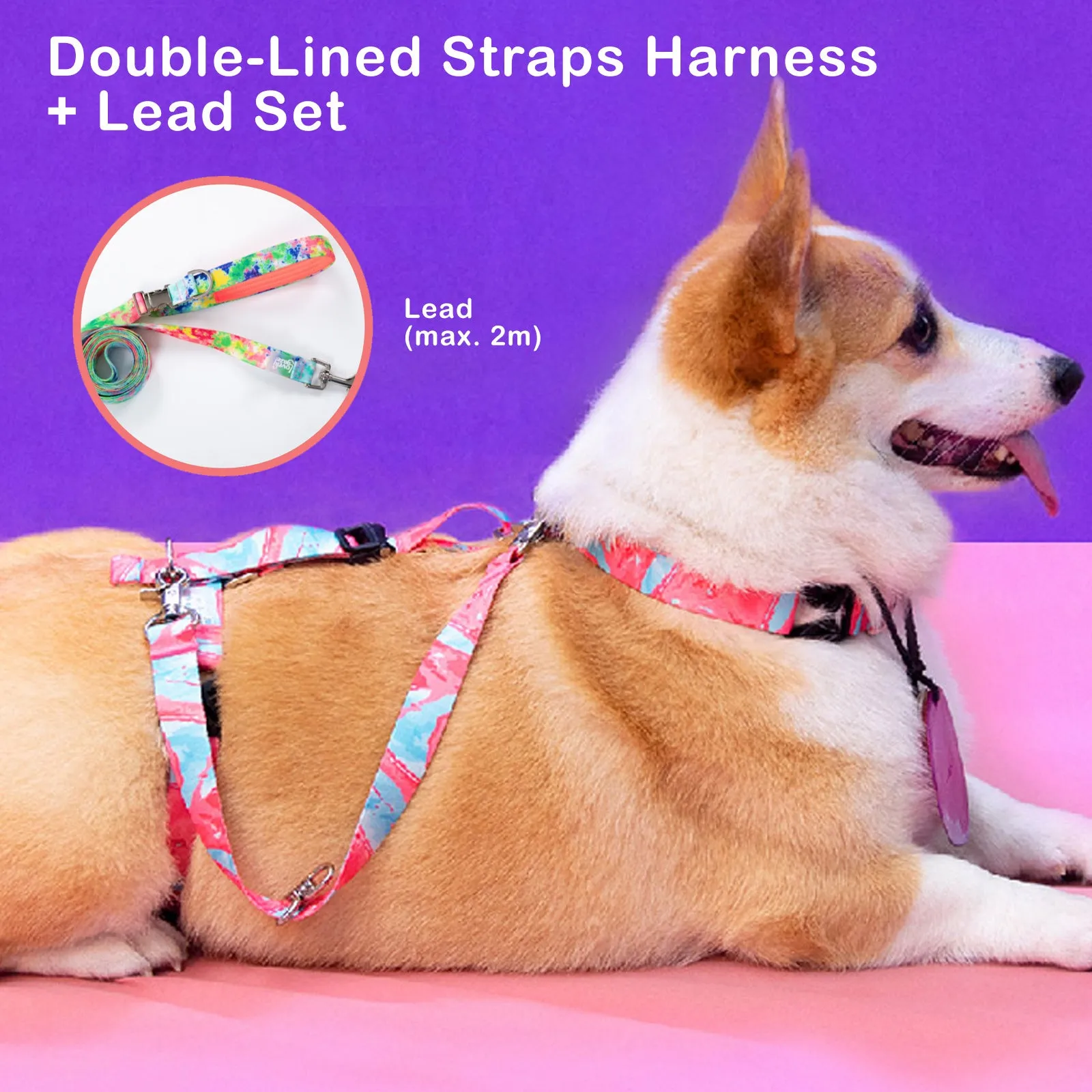 Banhamsisun M Dog Double-Lined Straps Harness and Lead Set Leash Adjustable No Pull