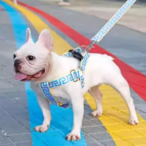 BarkTrend Frenchie Greek Key Harness and Leash – Stylish Secure Dog Walking Set