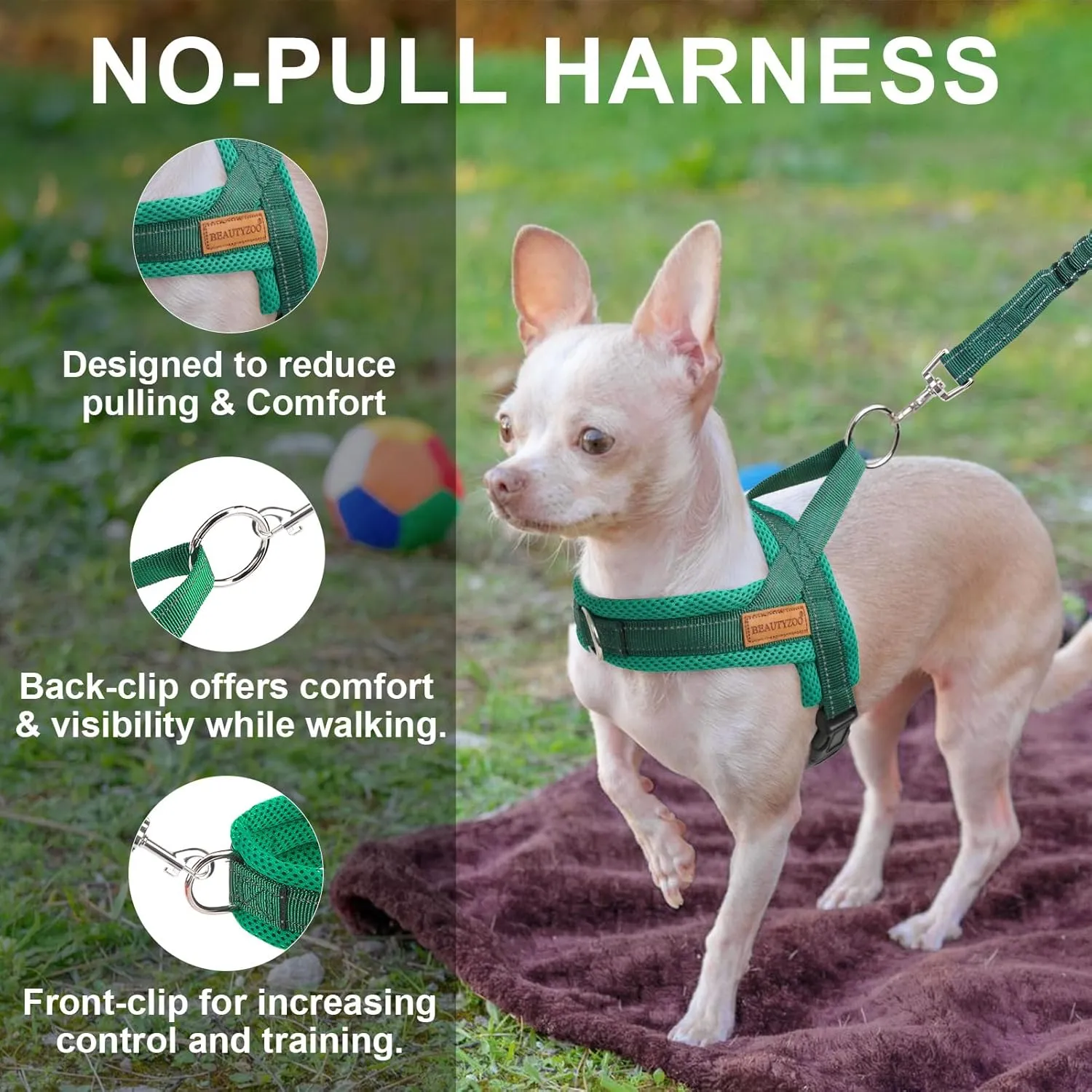 BEAUTYZOO Dog Harness for Small Dogs, No Pull Dog Harness and Leash Set, Escape Proof Puppy Vest Harness with Handle, Reflective Breathable Mesh Padded Harness for Girl Boy Dogs, Green XXS