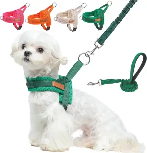 BEAUTYZOO Dog Harness for Small Dogs, No Pull Dog Harness and Leash Set, Escape Proof Puppy Vest Harness with Handle, Reflective Breathable Mesh Padded Harness for Girl Boy Dogs, Green XXS