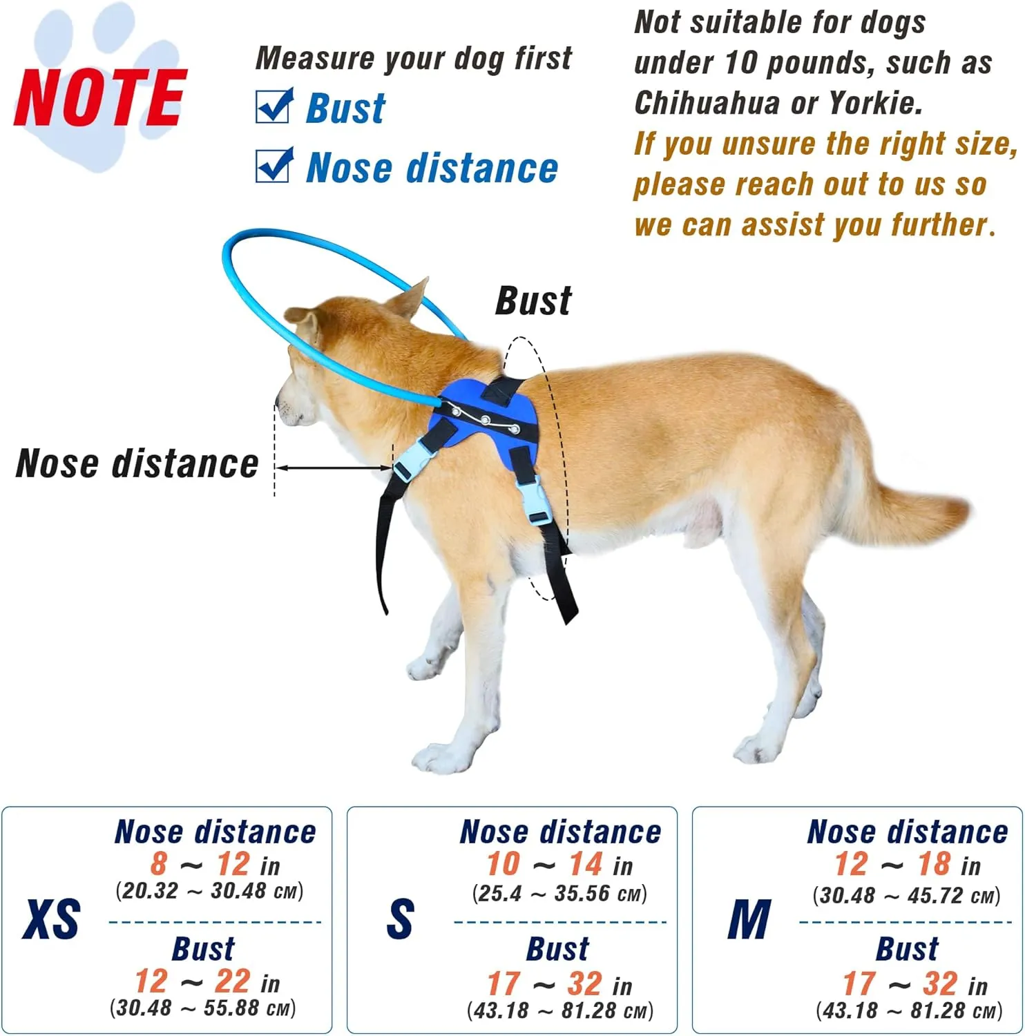 Blind Dog Halo Harness, Protective Halo Dog Collar for Blind Dogs, Confidence Building Harness Guiding Device, Blind Dog Accessories, Small