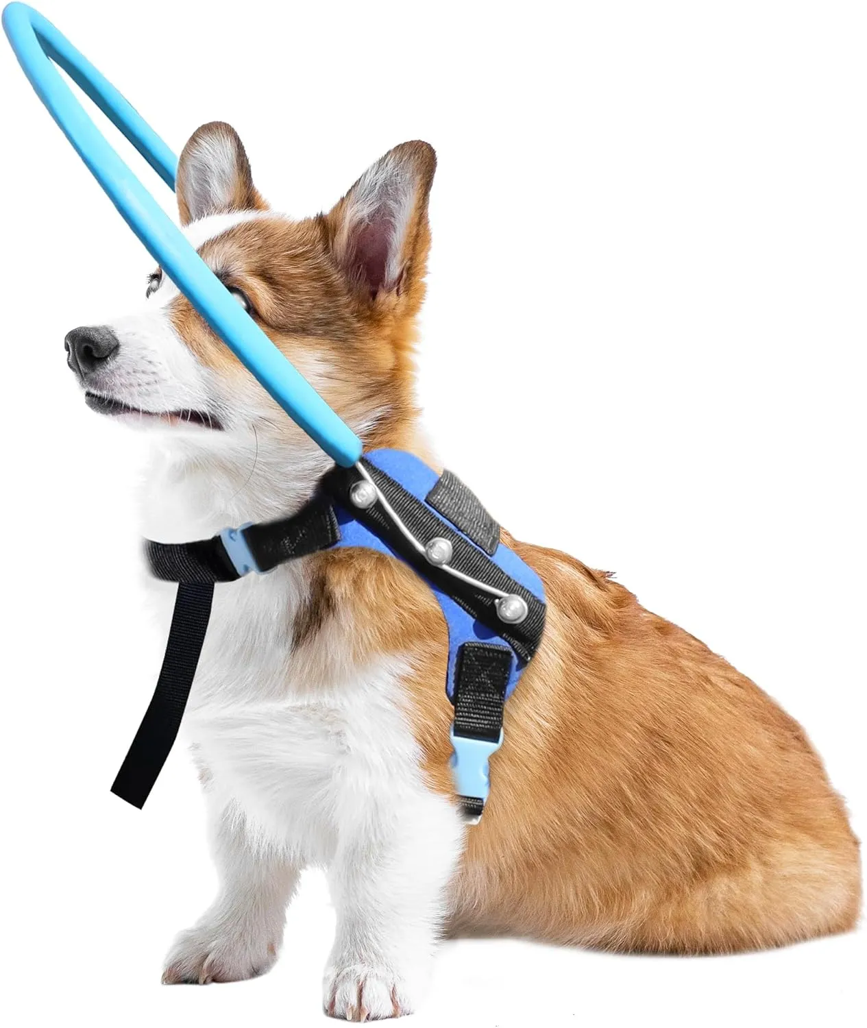 Blind Dog Halo Harness, Protective Halo Dog Collar for Blind Dogs, Confidence Building Harness Guiding Device, Blind Dog Accessories, Small