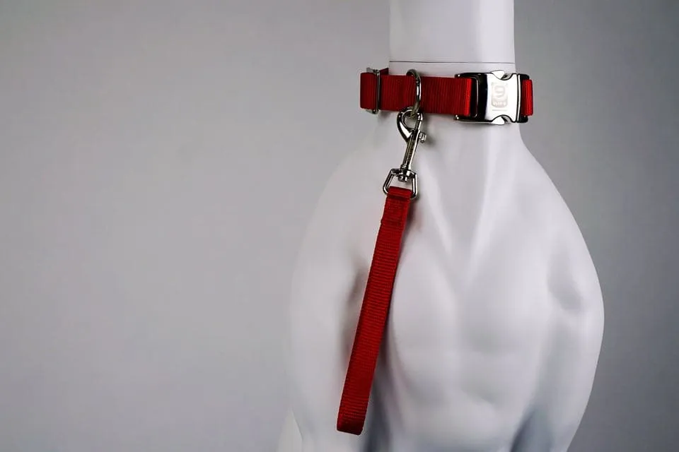 Blue-9 Tab Leash