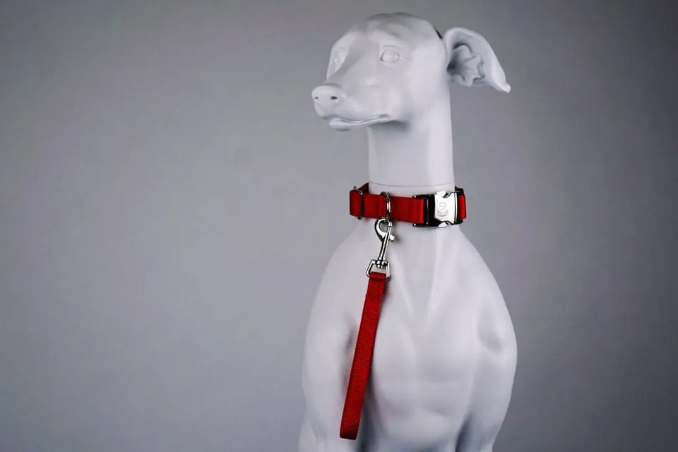 Blue-9 Tab Leash