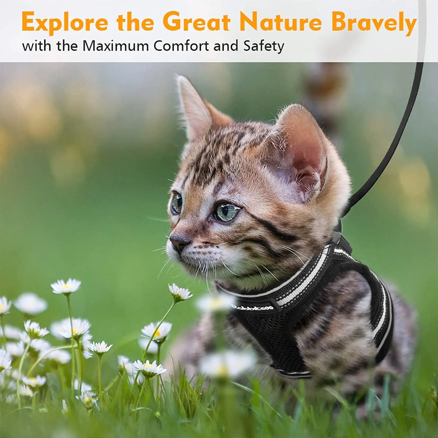 Cat Harness and Leash for Walking