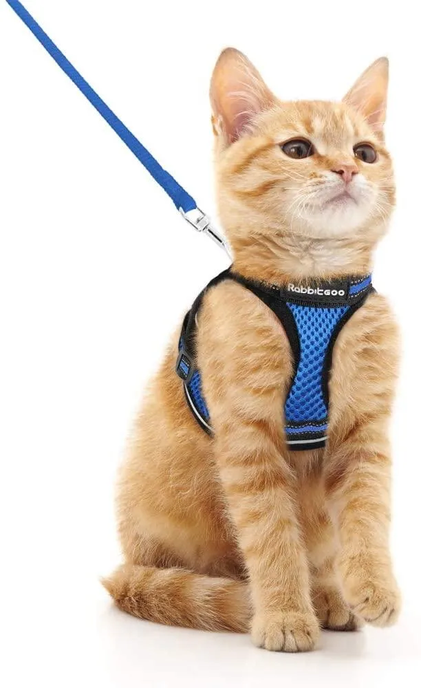 Cat Harness and Leash for Walking