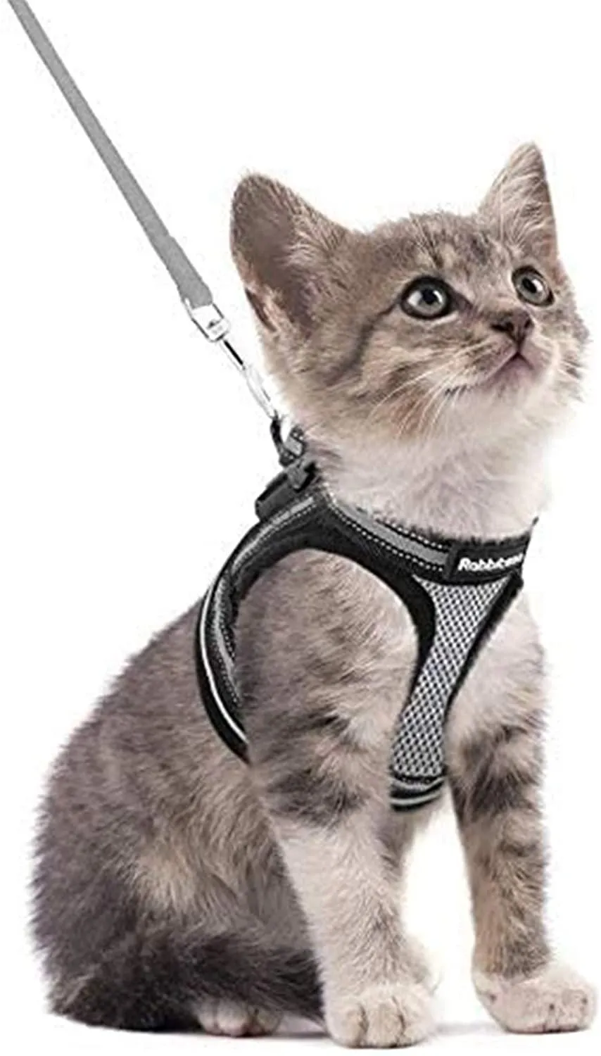 Cat Harness and Leash for Walking