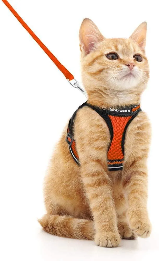 Cat Harness and Leash for Walking