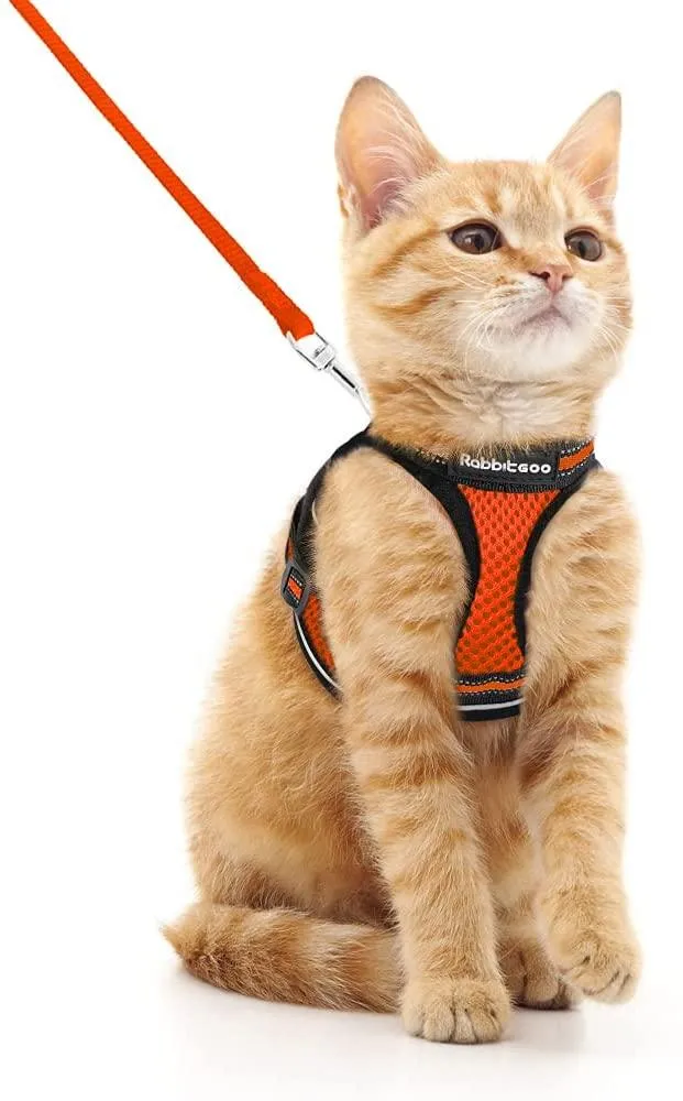Cat Harness and Leash for Walking