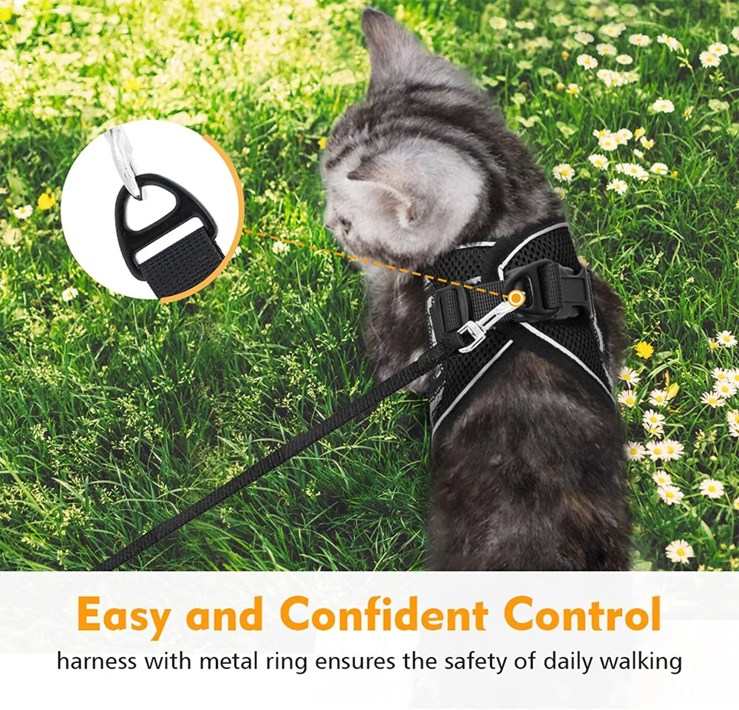 Cat Harness and Leash for Walking