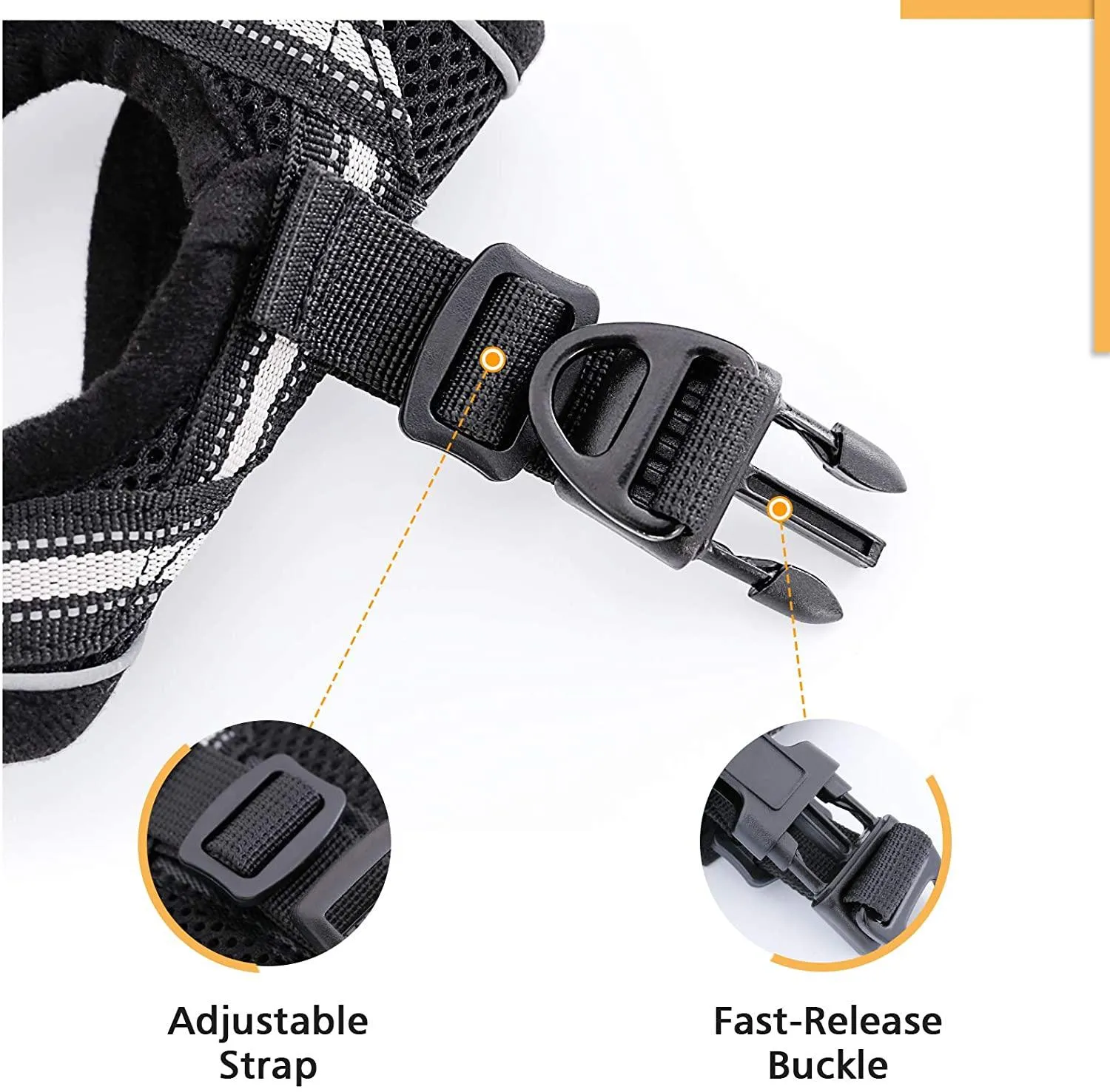 Cat Harness and Leash for Walking
