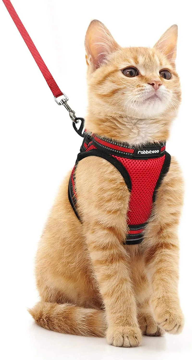 Cat Harness and Leash for Walking