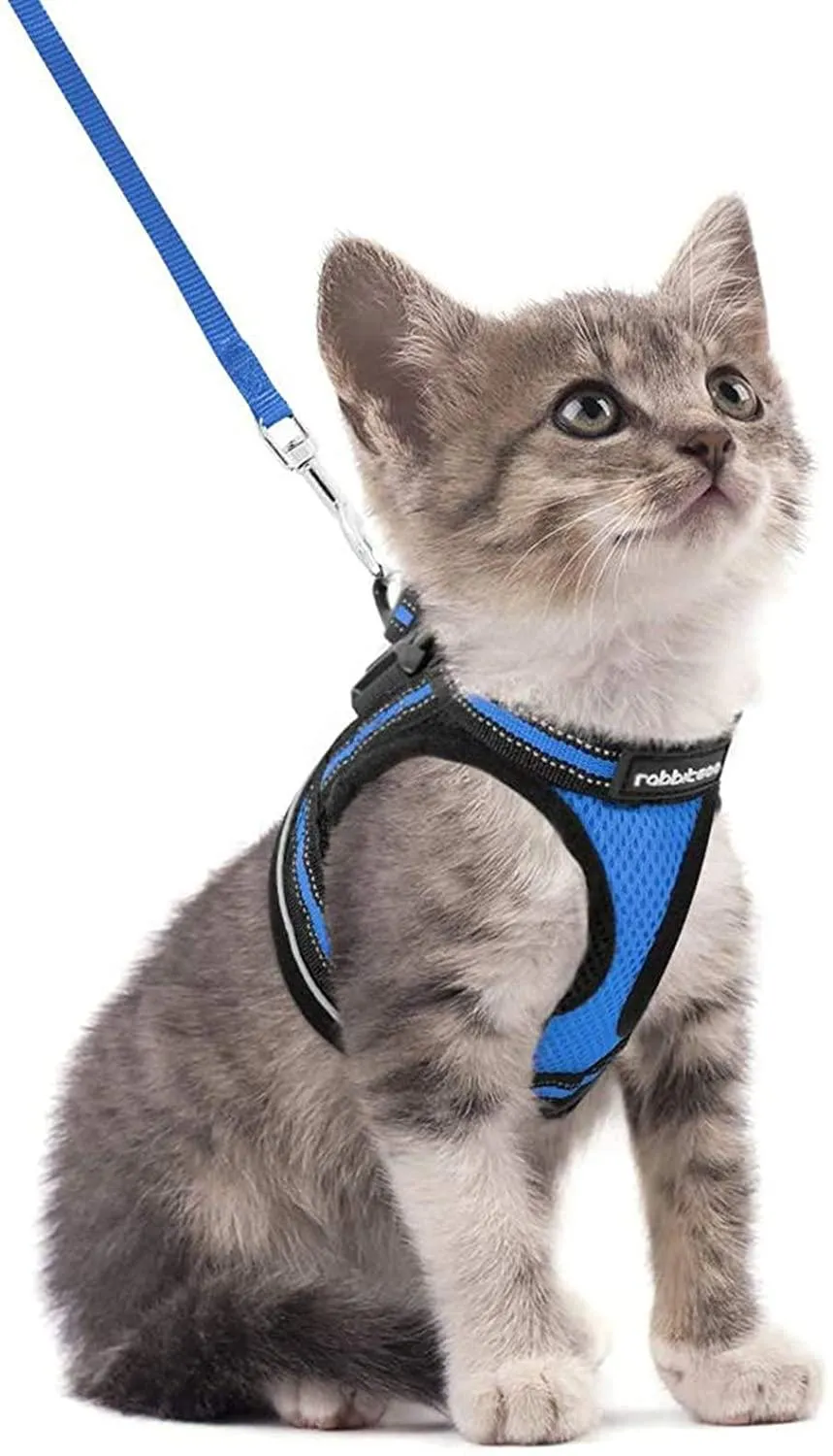 Cat Harness and Leash for Walking