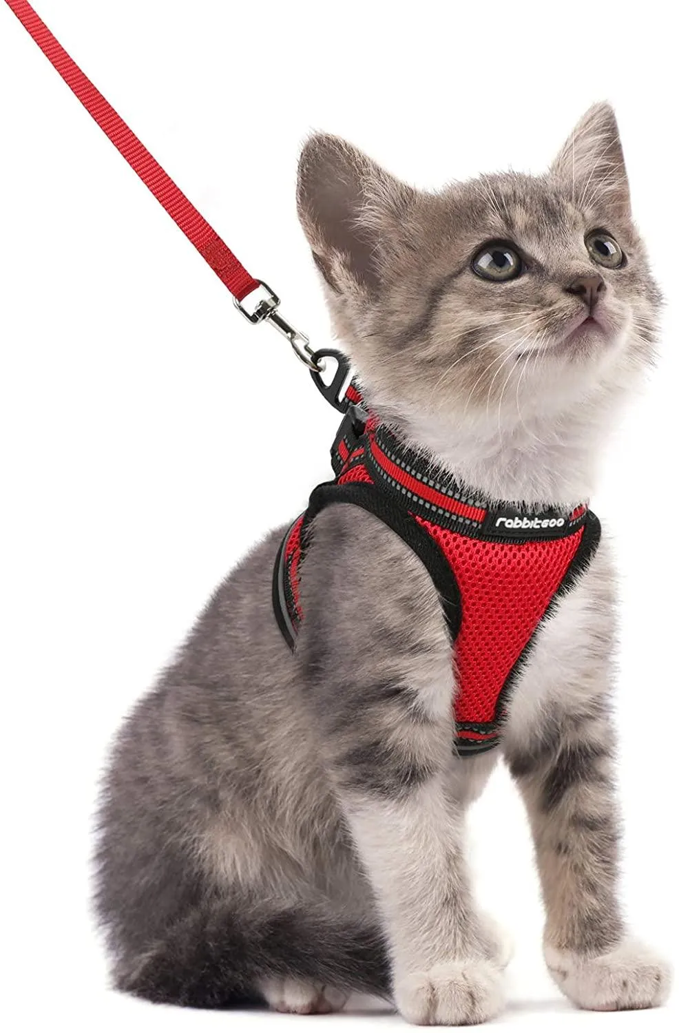 Cat Harness and Leash for Walking