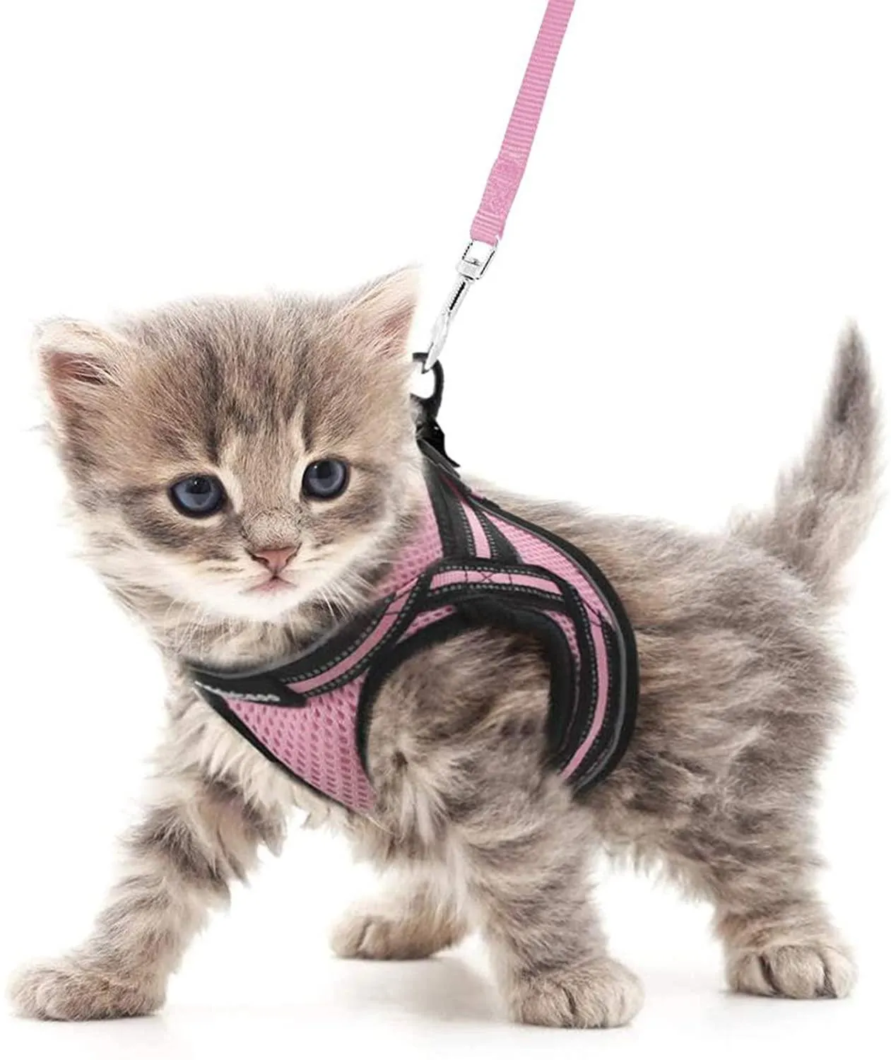 Cat Harness and Leash for Walking