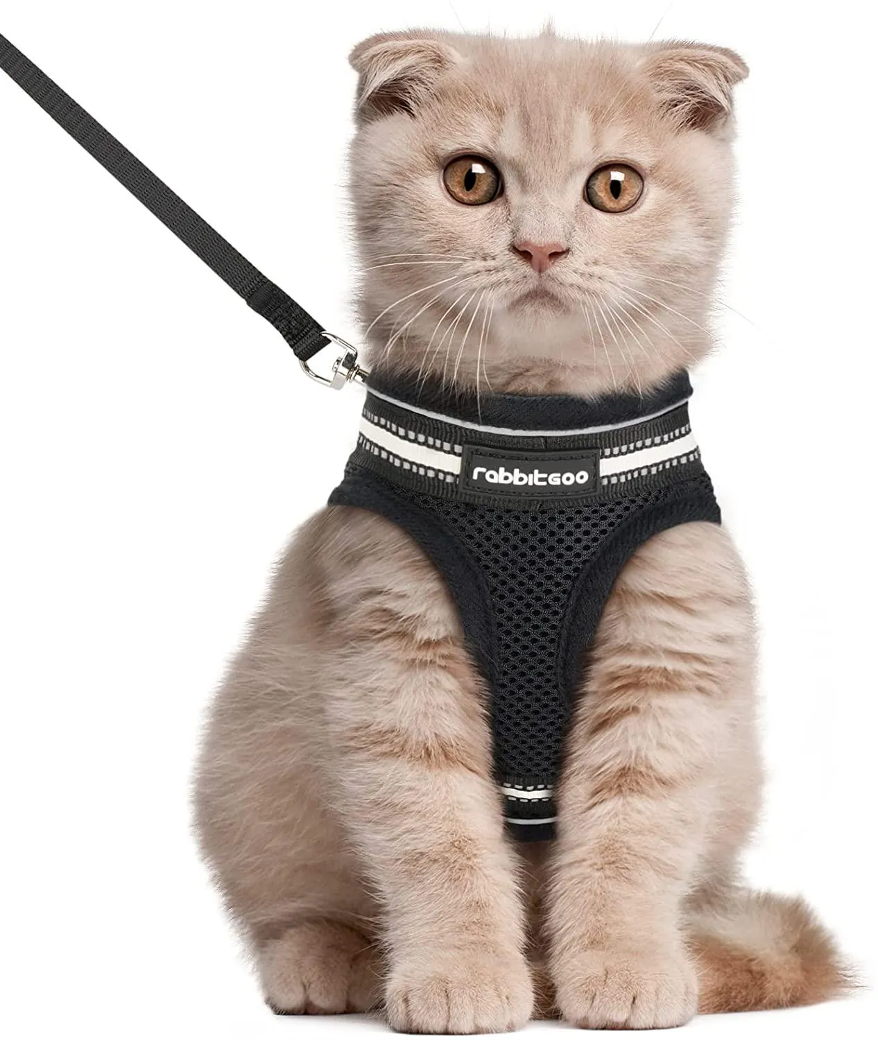 Cat Harness and Leash for Walking