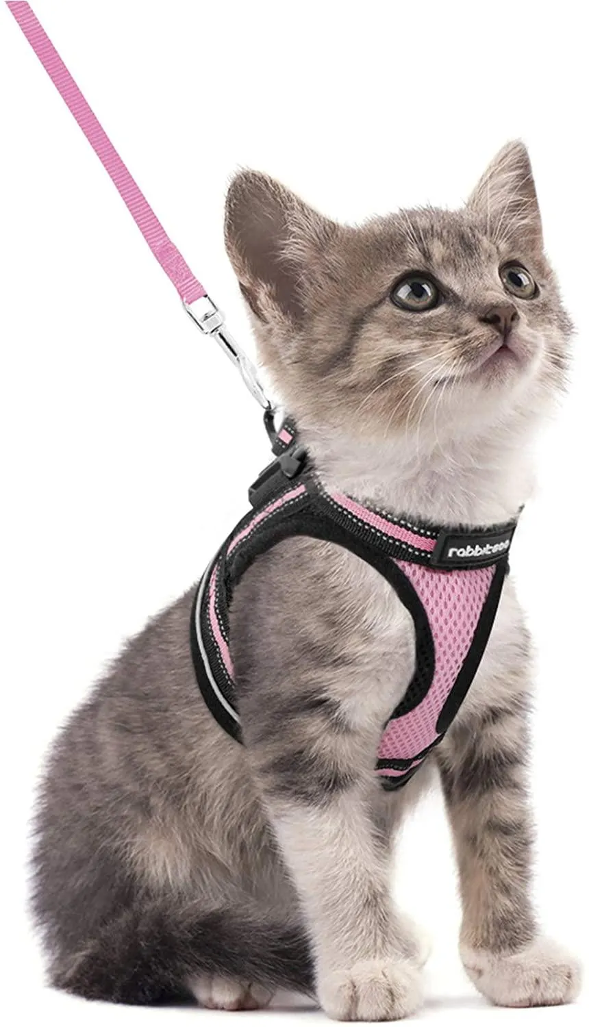 Cat Harness and Leash for Walking