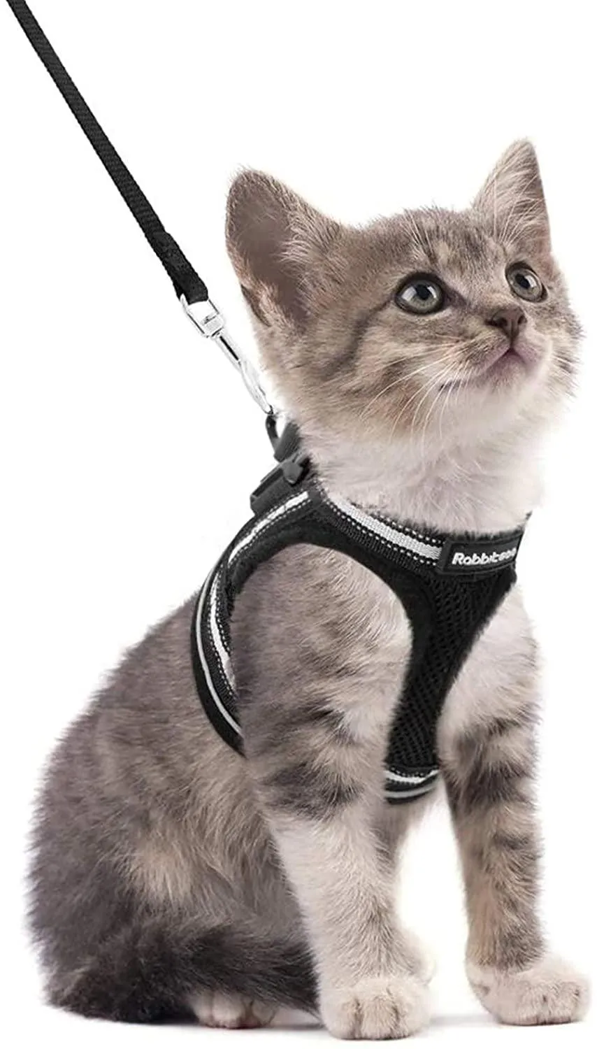 Cat Harness and Leash for Walking