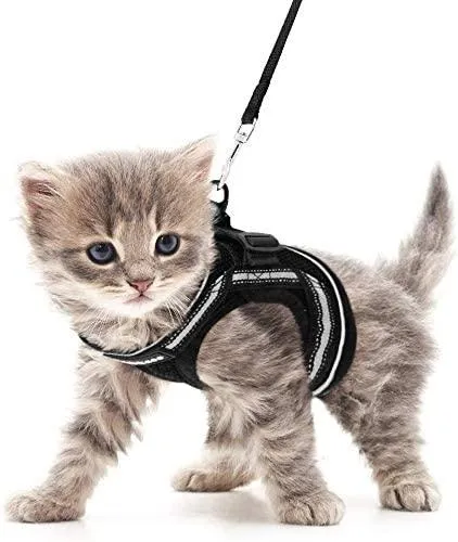 Cat Harness and Leash for Walking