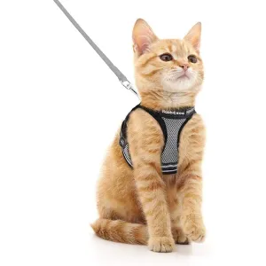 Cat Harness and Leash for Walking