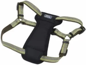 Coastal Pet K9 Explorer Reflective Adjustable Padded Dog Harness - Plush Chest Pad for Comfort - No-Pull Dog Harness for Small and Large Dogs - Fern - 1" x 26"-38", Large