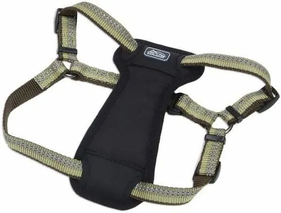 Coastal Pet K9 Explorer Reflective Adjustable Padded Dog Harness - Plush Chest Pad for Comfort - No-Pull Dog Harness for Small and Large Dogs - Fern - 1" x 26"-38", Large