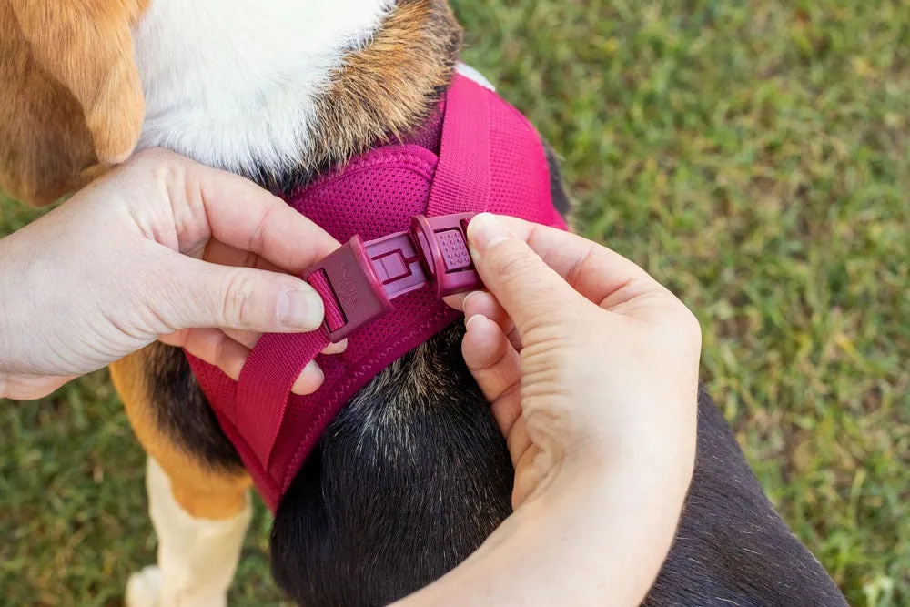 Curli Air Mesh Clasp Black Vest Harness