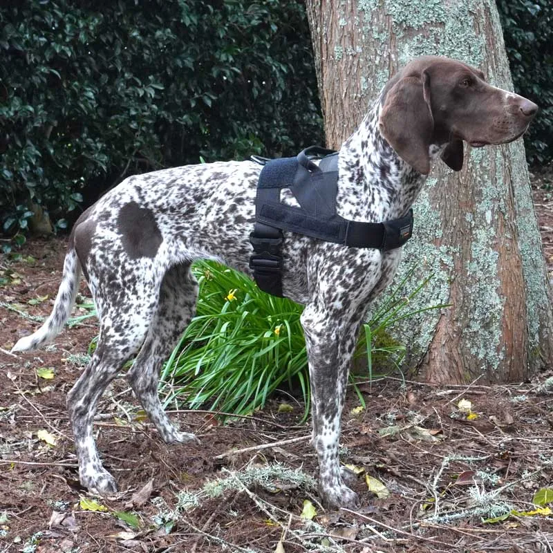 Detector Dog Harness - Lite